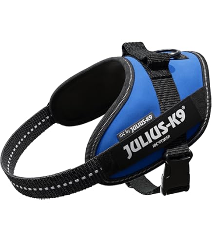 Julius-K9 ハーネス IDC® Color & Gray belt harness (IDC® ベルトハーネス) Size1