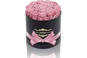 NATROSES Handmade Preserved Roses in a Box, Long Lasting Roses That Last Up to 3 Years, Real Roses Mothers Day Valentines Day Gifts for Her (Dusty Pink)