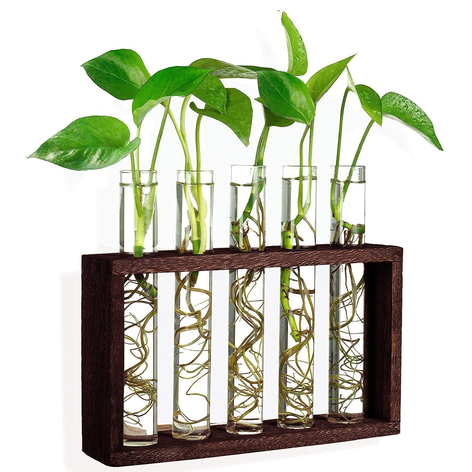Ompinda Plant Propagation Station, 5 Glass Test Tube Vase with Wooden Holder Wall Hanging Plant Terrarium Perfect for Home/Office/Garden Decor