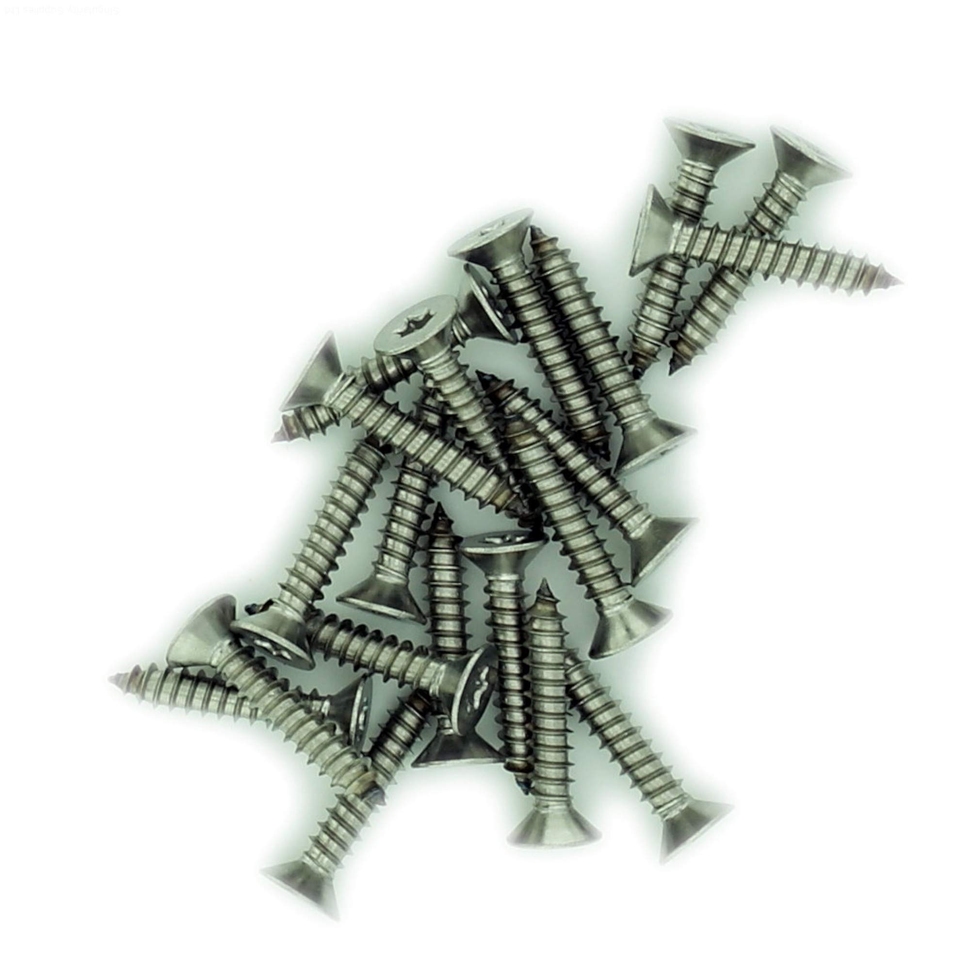 No.12 x 1.25 (5.5mm x 32mm) TX Countersunk Self-Tapping Screw - Stainless Steel (A2) (Pack of 20)