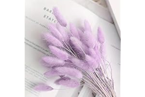BEEXEED 120pcs Light-Purple Bunny Tail Pampas Grass Dried Flowers for Vase Boho Flowers Dried Babys Breath Wedding Decor Dry Flowers for Vase (Purple 120 PCS)