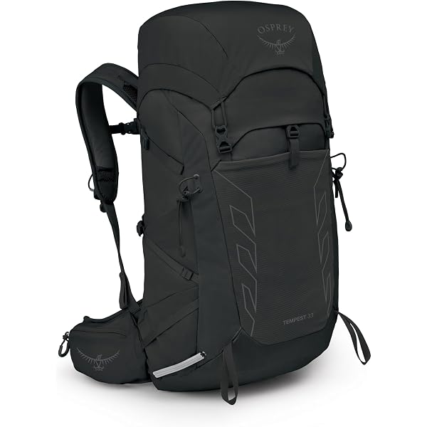 borealis green patagonia backpack Patagonia Black Hole Pack 25L
