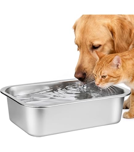 Pet Supplies : Van Ness 64-Ounce Lightweight Dish, Large, Stainless Steel :  Amazon.com