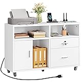 DWVO 2 Drawer File Cabinet with Charging