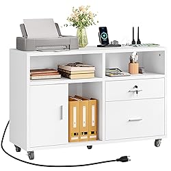 DWVO 2 Drawer File Cabinet with Charging