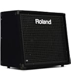 Amazon.com: Roland KC-220-30W 2x6.5 Keyboard Amp : Musical