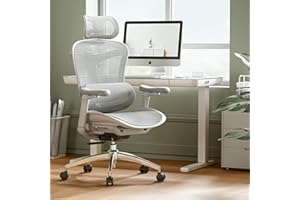 SIHOO Doro C300 Ergonomic Office Chair with Ultra Soft 3D Armrests, Dynamic Lumbar Support for Home Office Chair, Adjustable Backrest Desk Chair, Swivel Big and Tall Office Chair, Computer Chair Grey