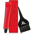 Schwarzkopf Professional Igora Royal Permanent Hair Color (with Sleek Tint Brush) (6-0 Dark Blonde)