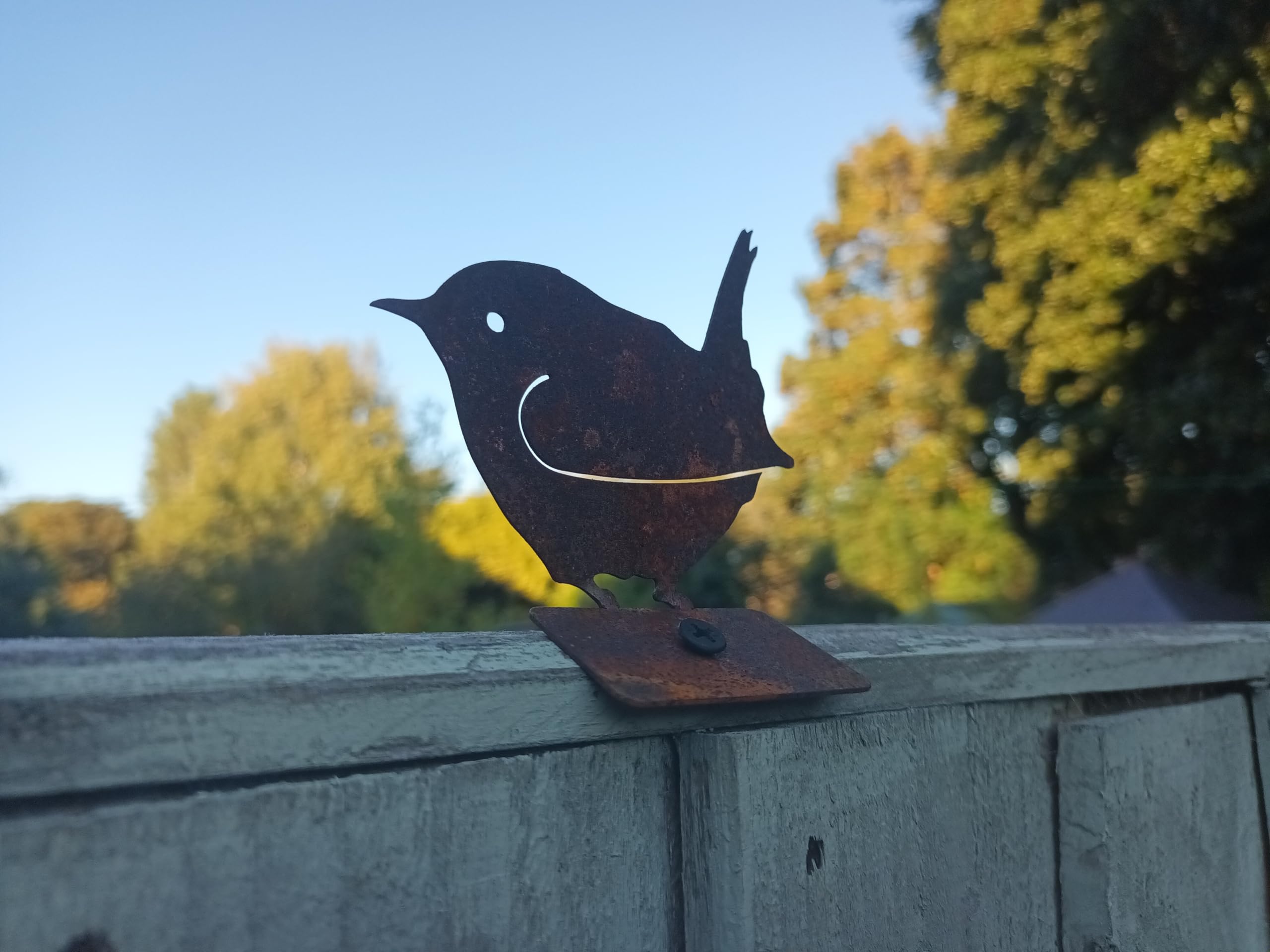 Paranoid Fish Rustic Wren Fence Topper Garden Ornament, Rusty Bird Fence or Shed Topper British Bird Garden Art