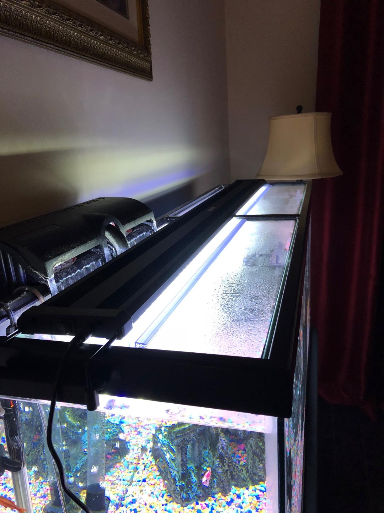 9/mo Finance Aquarium Glass Canopies for Aquariums with & Without