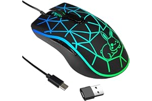 IULONEE Wired USB C Mouse for PC, Type C Silent Mouse with USB Receiver, 2400 DPI, 4 Adjustment Levels, Optical Computer Mice Compatible with MacBook, Notebook All Type-C Device (R-Black)