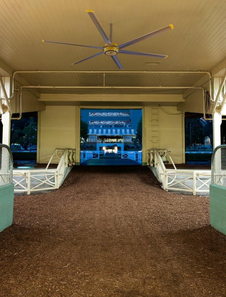 Big Ass Fans 3025 Universal Mount 6 Silver Blades Ceiling Fan