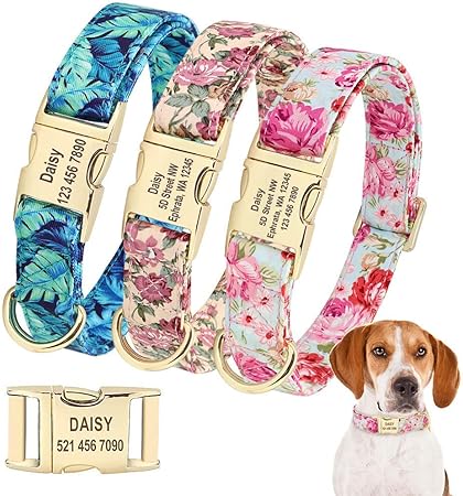 amazon large dog collars