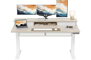 ErGear Electric Standing Desk with 4 Drawers, 55" x 30" Height Adjustable Desk with Storage, C-Clamp Mount Compatible, Computer Home Office Table with Cable Management Tray, Natural