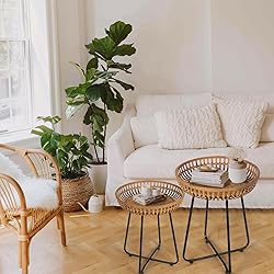 Oakrain Rattan Side Table Nesting Tables Set of