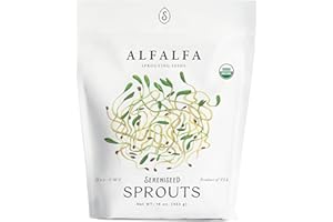 SERENISEED Organic Alfalfa Sprout Seeds (16 oz) – Non-GMO, Heirloom Seeds for Sprouting and Microgreens