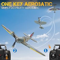 Fremego RC Plane RTF 4-CH RC Airplane Remote