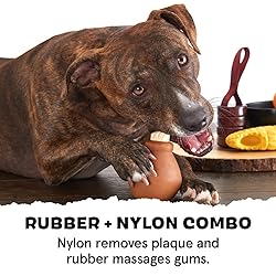 Barkbox Super Chewer Tough Dog Chew Toys for