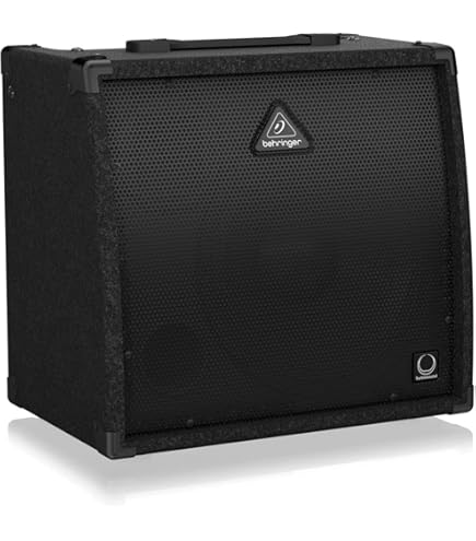 Amazon.com: Behringer ULTRATONE KT108 Ultra-Compact 15 Watt
