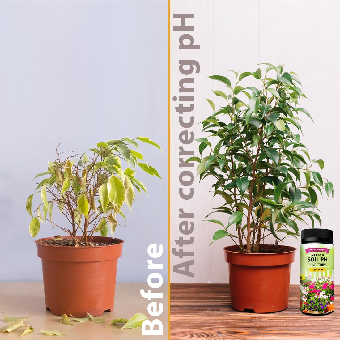 Aazon.co: Dewilde Trading Co Soil PH Paper Test Kit – 100 Tester Strips (3.5-9 Range) – Use