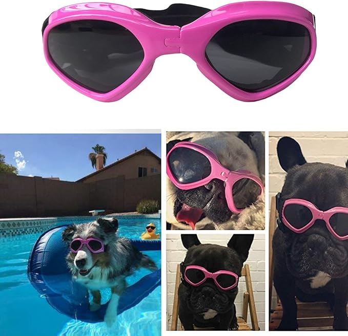 SHUIBIAN de Soleil pour Chien pour Chien et Chien Étanche Protection UV