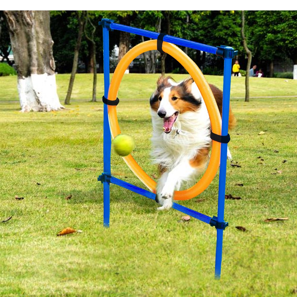 Dog Agility Toys Equipment Wow Blog