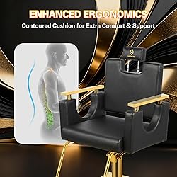 LUXMARS Heavy Duty Barber Chair, 360° Swivel