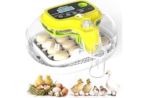 Incubators for Hatching Eggs, 16 Eggs Incubator with Auto Water Refill, Automatic Turner, Digital Temperature Control & Humid