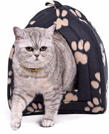 cat house price