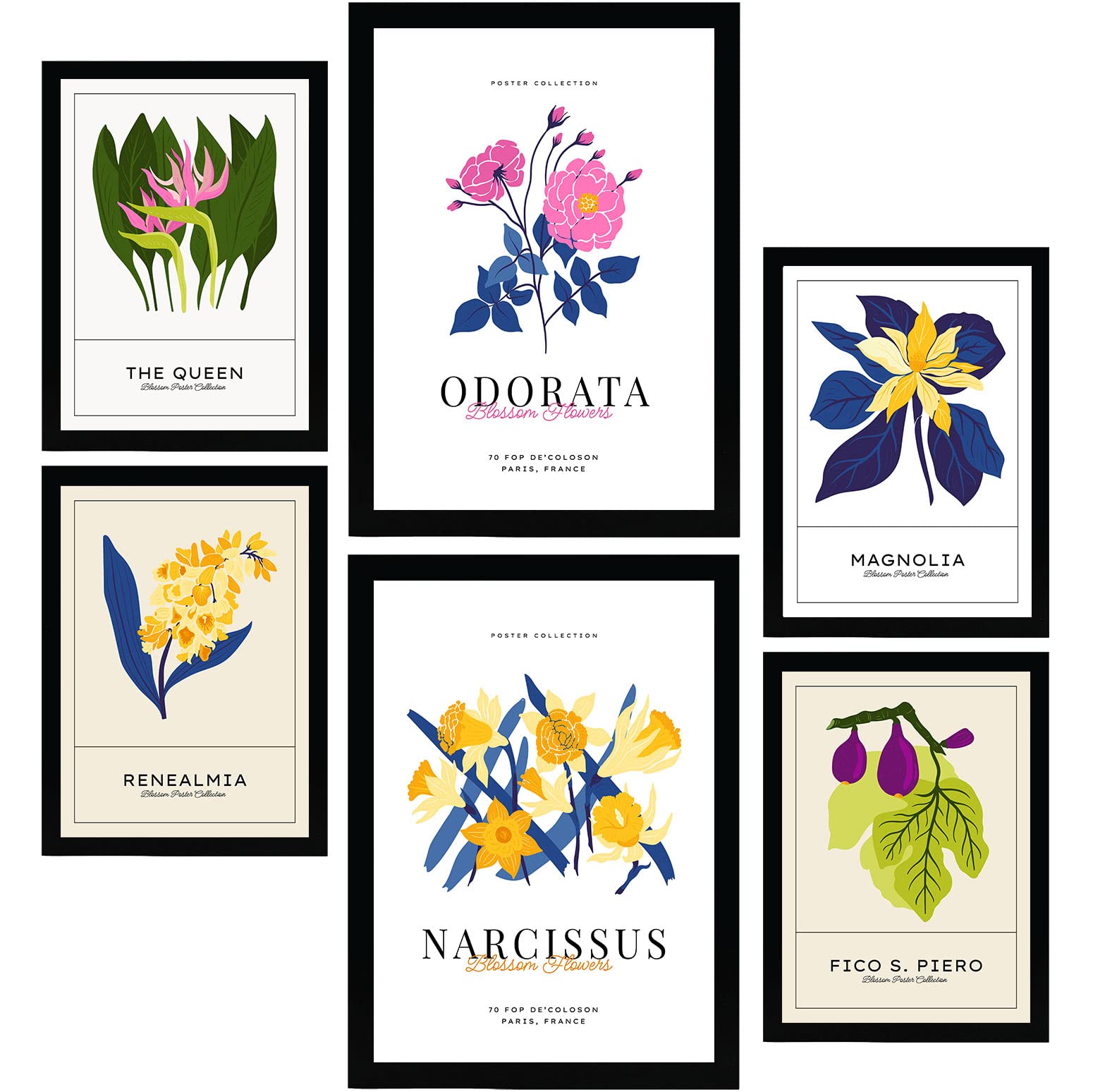 Nacnic Set of 6 Flower Posters. Narcissus. Nature and Botany Wall Art Prints in Vibrant Colours for Interior Design and Decoration. Sizes A3 & A4. Unframed.