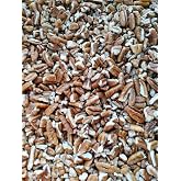 South Texas Pecans Shelled Pecan Pieces