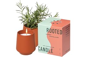 Modern Sprout Rooted Candle - 2 in 1 Cucumber Scented & Soy Candle with Seeds That Grows into Rosemary Plant - 6 oz w/ 42 Hr Burn Time in Matte Glaze Ceramic Vessel Ideal for Indoor Herb Garden