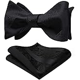 HISDERN Bow Ties for Men Paisley Bowties Mens Self Tie Bow Tie and Pocket Square Set Formal Tuxedo Wedding Bowtie
