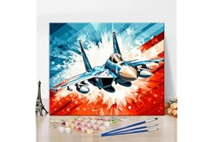 REBOTIPY DIY Paint by Number Military Jet Paint by Numbers for Adults US Patriotic Aircraft Adult Paint by Numbers Kits on Canvas Abstract Style Artwork Paint by Numbers for Adults Beginner 16x20 inches