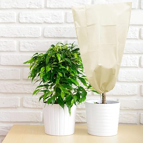 Amazon Co Jp 植物保護カバー 植物防寒カバー ネット 防寒保温 防雪 防風 虫害 凍結防止 不織布 耐久性 繰り返して使用可能 巾着式 保護袋 調節引き紐付き プランター保護カバー 冬用防寒対策 cm Diy 工具 ガーデン