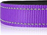 Joytale Reflective Dog Collar XS Purple, Neoprene Padded Nylon, Adjustable view 4