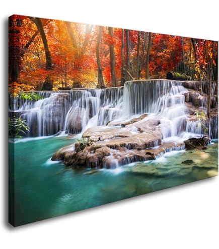 Amazon.com: Sense Canvas Camel Deserts Endless Voyage 34 Canvas