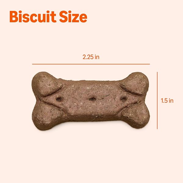 AMAZON BASICS CRUNCHY DOG BISCUITS GRAVY BASTED FLAVOR DOG TREATS 5 LB. BOX