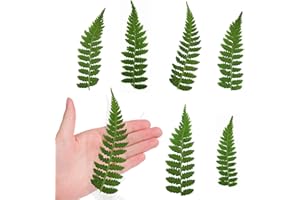 ALJ 42PCS Pressed Legged Fern Flowers Leaves for Resin, Real Natural Dried Legged Ferns Leaves Plant for Resin Jewelry Pressed Leaf Art DIY Craft Decors Card Making DIY Scrapbooking