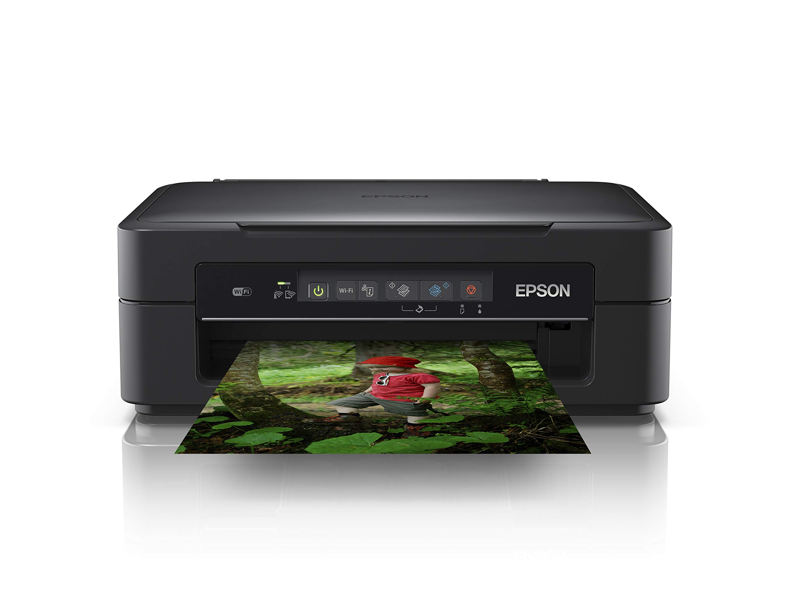 epson expression xp 255