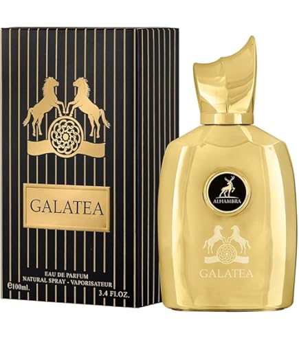 香水(ユニセックス) The Trail Maison Alhambra EDP 100ml Amazon.com: Maison Alhambra The Trail | Eau de Parfum 100 ml