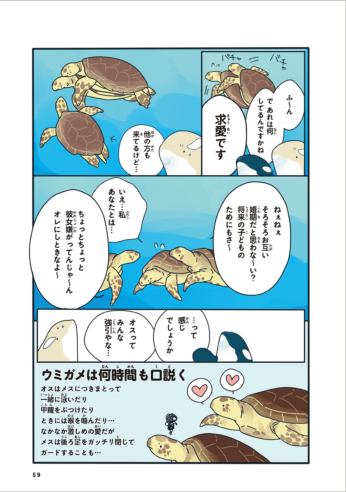 どうぶつの恋愛が不思議すぎて メディアファクトリーのコミックエッセイ まつおるか 本 通販 Amazon