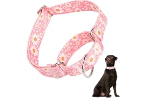 HIDAKEAI Martingale Collar for Dogs, Pink Martingale Dog Collar with Daisy Flower Design, Adjustable Premium No Slip Training Collar for Large Girl Dogs, Perfect for Training, Walking, Hunting (L)