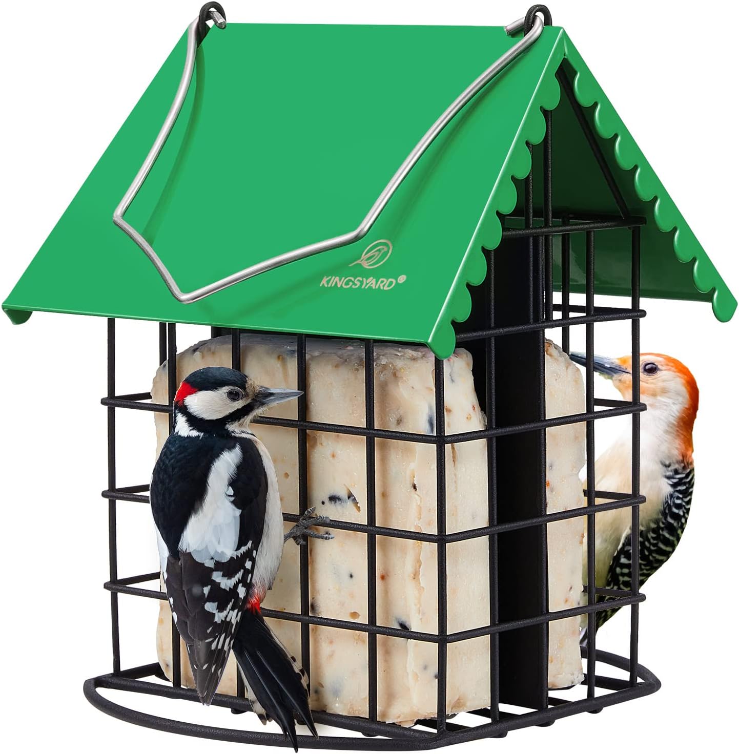 Backyard Birding & Wildlife - Kingsyard Double Suet Bird Feeder with Weatherproof Roof & Perch, All Metal, Suet Cakes Cage Bird Feeder for Outdoors Hanging, Easy to Clean & Refill, Green