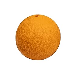 Amazon Basics Squeaker Toy Dog