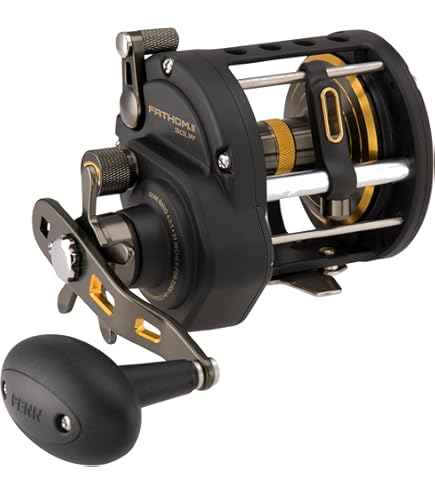 PENN FATHOM FTH60LW ベイトリール PEライン付き PENN Fathom® Baitcast Reel | PENN® Fishing