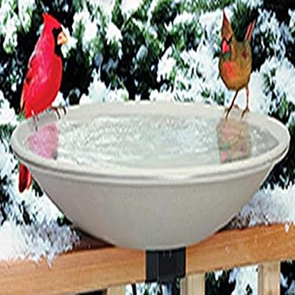 Amazon Com Allied Precision Industries 650 Heated Bird Bath