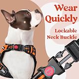 rabbitgoo Large Dog Harness No Pull Front Back Clips Reflective Orange L view 4
