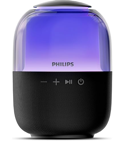 Amazon.com: Philips SPA4270BT/37 Multimedia Speakers 2.0 (Black
