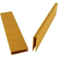 B&C Eagle 9015 Klammern 5/8 Zoll Länge, 1/4 Zoll Krone, 18 Gauge – Verzinnt, 5.000 Stück Pro Box, Für Innenbereich